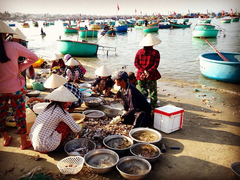 Mua bán hải sản tấp nập trên bãi biển Mũi Né