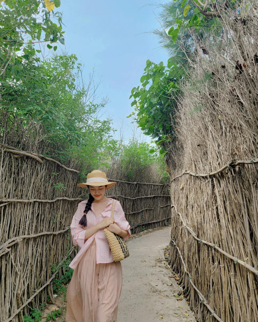 Hàng rào cây Tư Bi tại cung đường chị Nên Phú Quý