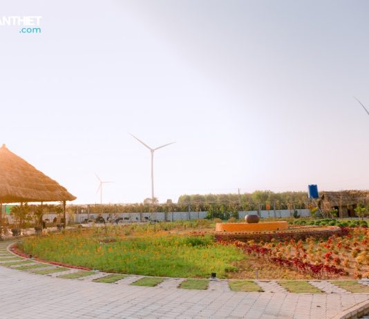 Đến Phúc Farm Coffee để tận hưởng những khoảnh khắc yên bình Phuc-Farm-yen-binh-va-xinh-dep