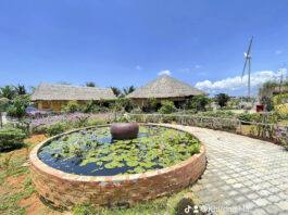 Phúc Farm – Homestay xanh mát gần Novaworld Phan Thiết Homestay gần Novaworld