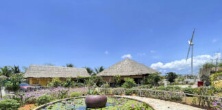Phúc Farm – Homestay xanh mát gần Novaworld Phan Thiết Homestay gần Novaworld