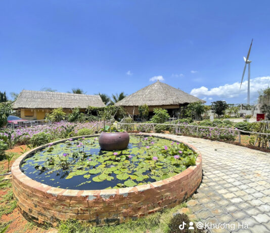 Phúc Farm – Homestay xanh mát gần Novaworld Phan Thiết Homestay gần Novaworld